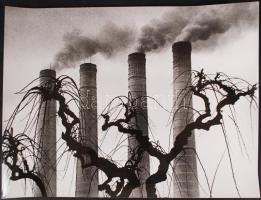 1982 Gebhardt György: Füstártalom, feliratozott vintage fotóművészeti alkotás, 29x39 cm