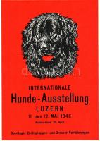 Hunde Ausstellung