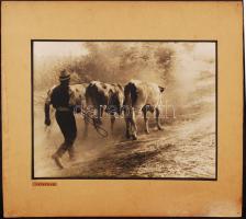 cca 1930 Thöresz Dezső: Hazafelé, aláírt vintage fotóművészeti alkotás, képméret 29x38 cm, karton 46x50 cm