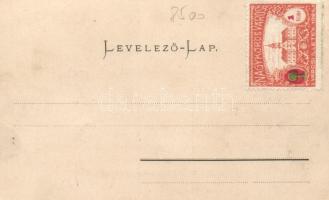 Keszthely, Festetics György gróf szobrának leleplezése, Mérei Ignácz kiadása