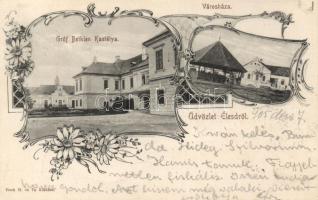 Élesd, Gróf Bethlen kastély, Városház / castle, town hall, Art Nouveau