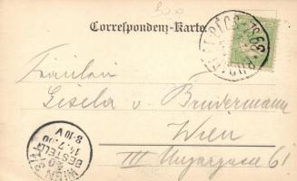 Komárom, híd, Schönwald Tivadar kiadása / bridge (EK)