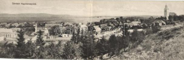 Nagyborosnyó panoramacard