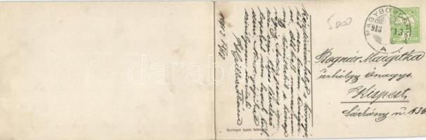 Nagyborosnyó panoramacard