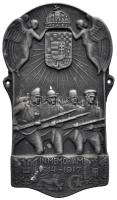 Osztrák-Magyar Monarchia 1914-1917. "In Memoriam 1914-1917" bronz katonai felvarró hátoldalon eredeti bélyeggel (65x37mm) T:1 Austro-Hungarian Monarchy 1914-1917. "In Memoriam 1914-1917" bronze badge with original stamp on the backside (65x37mm) C:UNC