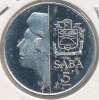 Hollandia - Saba 2011. 5c T:PP Netherlands - Saba 2011. 5 Cents C:PP