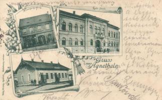1899 Szentágota, Agnetheln; M. Lang's Handlung, Rathaus, Stationgebäude / shop, town hall, railway station, Art Nouveau