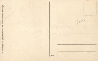 Somorja, Kranzinger Nándor könyvesboltja és kiadása / book shop