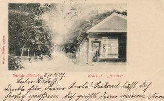 1899 Modor, Erdei út a Sandra, Wagner Mihály kiadása / forest alley