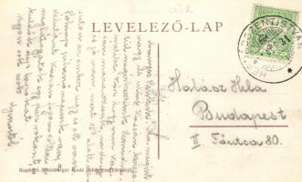 Áj, Vízimalom; Steinberger Ignác kiadása / water mill