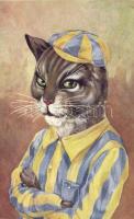 Cat in yellow and blue striped clothes, B.K.W.I. 392-4
