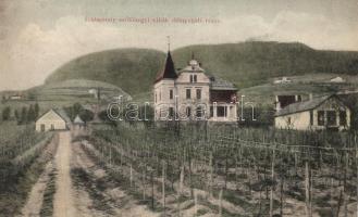 Badacsony, Szőlőhegy, villák (EK)