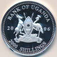 Uganda 2006. 2000Sh Ag "A labdarúgás halhatatlanjainak csarnoka - Brazília 1990-es évek/ Aldair" T:PP tanúsítvánnyal Uganda 2006. 2000 Shilling Ag "Hall of Fame of football - Brazil 1990s / Aldair" C:PP  With certificate