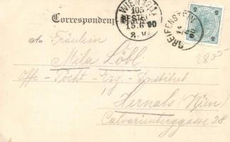 Hadersfeld, Schloss, Obelisk, A. Aigner's restauration / castle, obelisk, restaurant (EK)