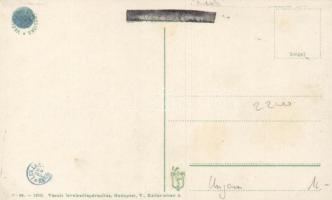 Zimony, Zemun; Fő utca / street