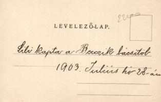 Budapest III. Rómaifürdő, Berczik István miniszteri számtanácsos nyaralója
