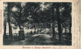 Budapest III. Rómaifürdő, Divald Károly (EK)