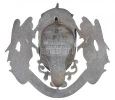 1896. "Nemzetközi Mezőgazdasági Kongresszus" zománcozott angyal címeres gomblyuk jelvény, ...