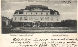 Temesújfalu, kastély / castle