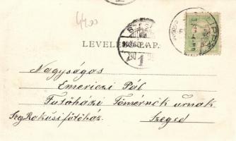 Temesújfalu, kastély / castle