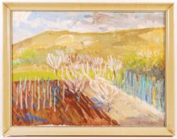 Szentiványi Lajos (1909-1973): Domboldal. Olaj, vászon, jelzett, keretben, 60×80 cm