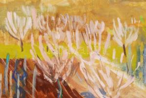 Szentiványi Lajos (1909-1973): Domboldal. Olaj, vászon, jelzett, keretben, 60×80 cm