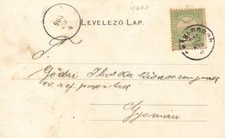 Csákigorbó, Gyümölcsös, Tüzes Kristóf üzlete, Báró Josika féle kastély / orchard, shop, castle, Art ...