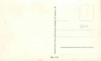 1954 Magyar Labdarúgó Válogatott, Aranycsapat / Hungary national football team, Golden Team (EK)