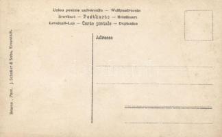 Brassó, Kronstadt; felvonulás / gathering, photo