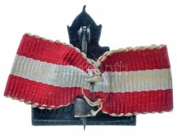 Ausztria ~1915. Tengerész sapkajelvény "AKAD.SECTION" felirattal és nemzeti szalagdíszítmé...