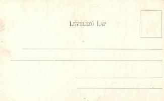 Dicsőszentmárton, Iskola, takarékpénztár, vármegyeház tér; Hirsch Mór kiadása / school, bank, county...