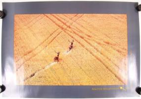 2000 Magyar Millennium plakátok (szarvasok a búzában, Árpád kori templom belső), 2 db plakát hibátla...