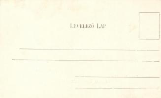 Dicsőszentmárton, Olvasókör pavillon, vármegyeháza; Hirsch Mór kiadása / literary club, county hall