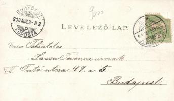 Liptóújvár, Magyar Királyi Erdészeti Szakiskola, vár / school, castle, floral litho