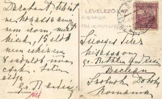 Nedecz, Niedzica, vár / castle (fl)