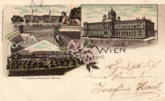 1899 Vienna, Wien, floral litho
