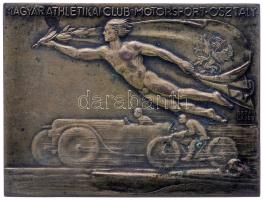 Berán Lajos (1882-1943) 1929. "Magyar Athlétikai Club Motorsport Osztály / Jánoshegy 1929." bronz emlékplakett (53x70mm) T:2- Hungary 1929. "Hungarian Athletic Club-Motorsport / Jánoshegy 1929." bronze plaque, sign: Berán Lajos (53x70mm) C:VF HP: 1423.
