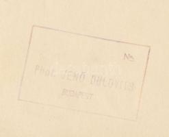 cca 1930-1940 Dulovits Jenő (1903-1972): Balatoni látkép, vintage fotóművészeti alkotás, szerzői pec...