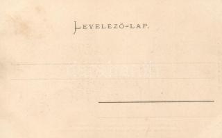 Budapest V. Klotild-paloták, az épülő Erzsébet híd; Ganz Antal