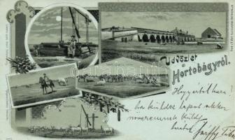 1899 Hortobágy, kiadja László Albert könyvkereskedés, litho