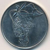 Ausztrália 1989. "ACT Kormány létrehozása" fém emlékérem (40mm) T:BU
Australia 1989. "...