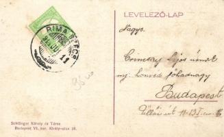 Rimaszécs, Stern József Vendéglő, szálloda, fűszer és vegyeskereskedés / restaurant, hotel, shop (fl...