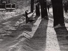 cca 1930-1940 Reich Péter Cornel: Télen, napsütésben, pecséttel jelzett vintage fotóművészeti alkotás, 17x22 cm