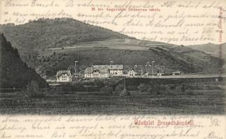 Breznóbánya, Magyar Királyi Hegyvidéki Földműves Iskola