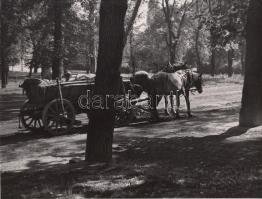 cca 1930-1940 Reich Péter Cornel: Fogatos a parkban, pecséttel jelzett vintage fotóművészeti alkotás, 20x26 cm