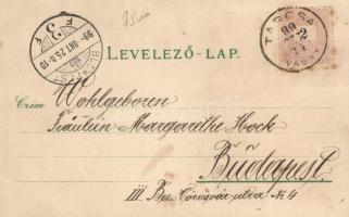 1899 Korytnica floral litho (fl)