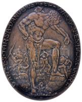 Zutt Richard (1887-1938) 1914. "Ganz és Társa-Danubius Gép-Waggon és Hajó Gyár Rt." ovális bronz emlékérem (79x64mm/96.7g) T:2 Hungary 1914. "Ganz & Co. Electrical-, Machine,- Waggon- & Shipyard Co. Ltd." commemorative bronze medallion. Sign: OPUS ZUTT / Richard Zutt (79x64mm/96.7g) C:XF HP-6810.