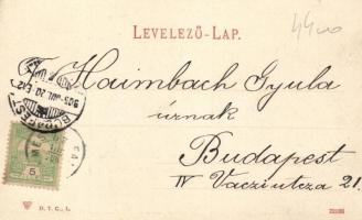 Balatonszemes, Faluszemes; nyaralók, Balázsovich Gyula kiadása (EK)