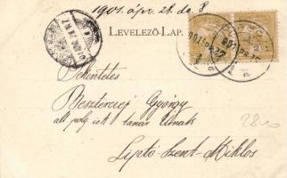 Orsova, Magyar Királyi Állami Iskola, Scheinberger Mór üzlete / school, shop