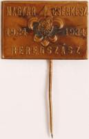 Cserkész jelvény "Magyar Cserkész Beregszász 1924-1934" / Subcarpathia, Hungarian scout badge